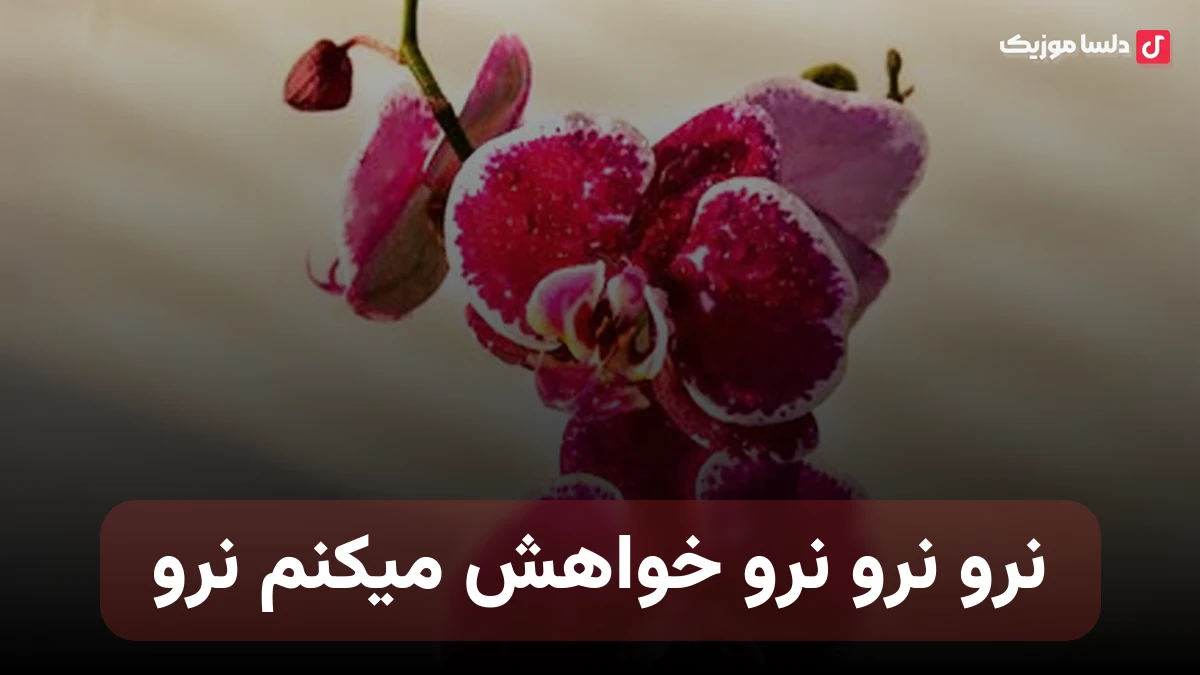 نرو نرو نرو خواهش میکنم نرو با صدای زن
